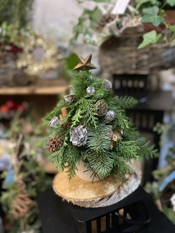 クリスマス・レッスン